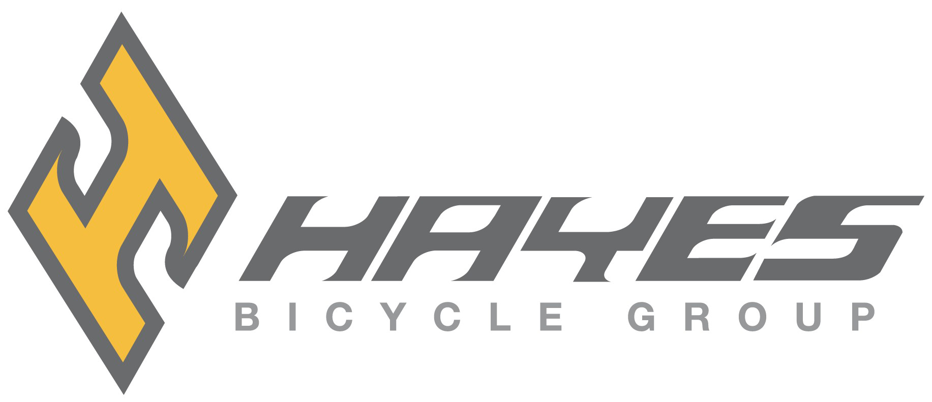 Hayes Discbrakes