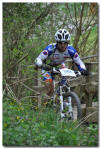 Edwin (Last Corner)