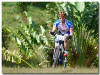 Southern Tropical Challenge 2012