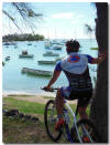 Southern Tropical Challenge 2013