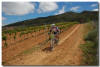 La Rioja Bike Race_2015