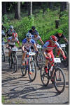 Start Loop