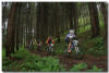 Sudety MTB Challenge 2014