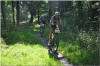 Manuel in Lead